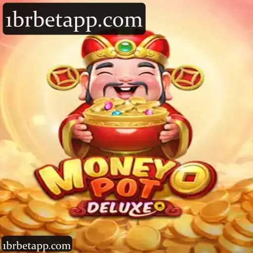 MoneyPotDELUXE